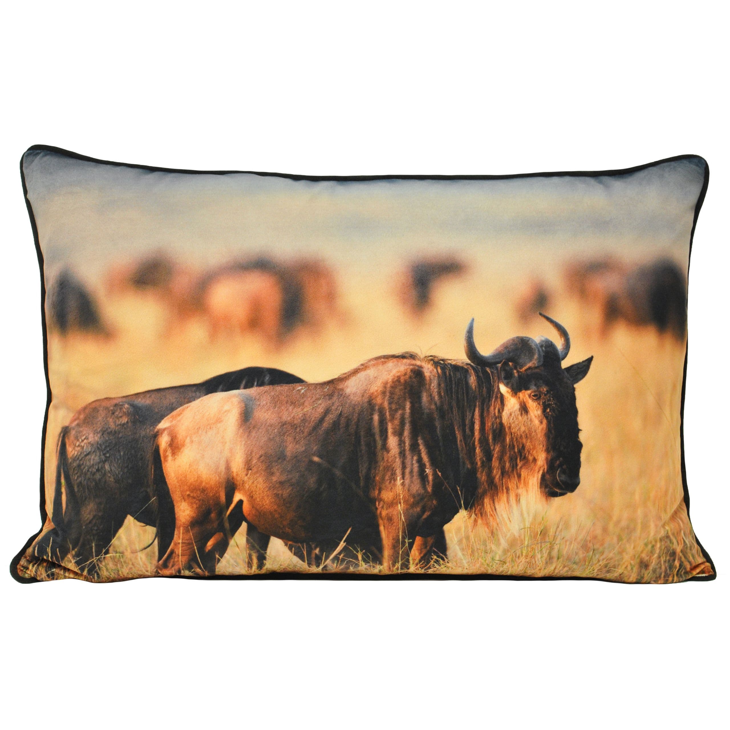 Wildebeest Photographic Print Cushion