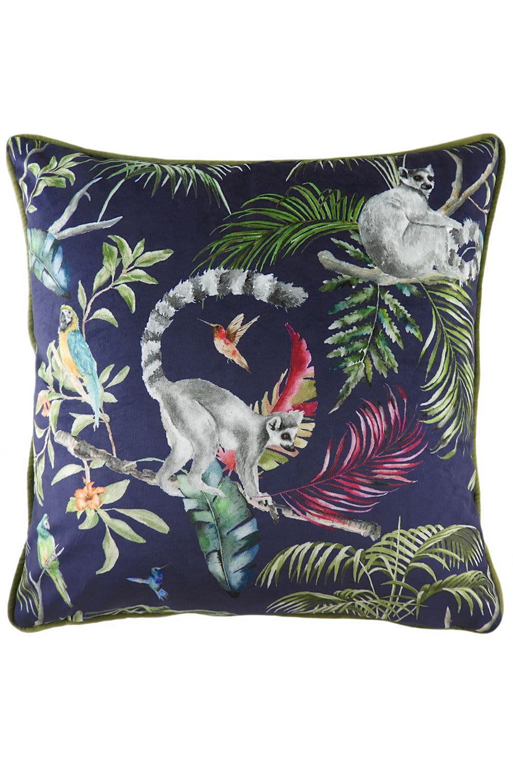 Jungle Lemur Velvet Piped Cushion