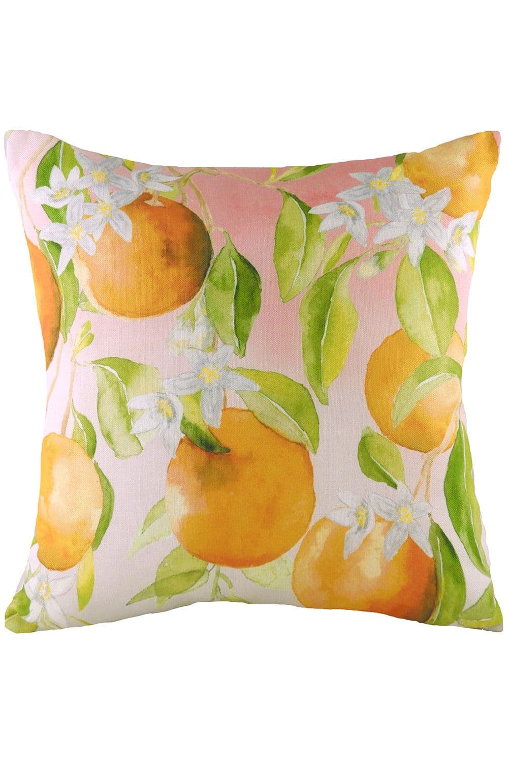 Fruit Oranges Hand Painted Watercolour Printed Cushion