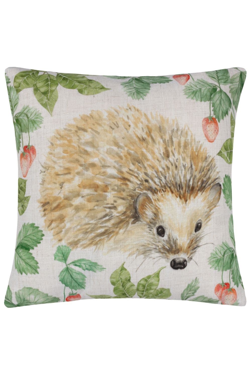 Grove Hedgehog Hand Painted Polyester Filled Cushion