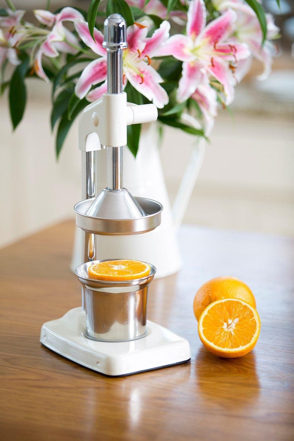 Lever Arm Manual Juicer