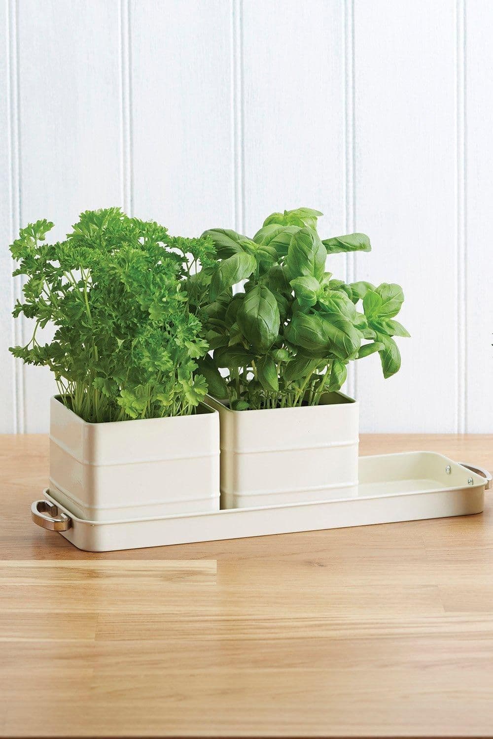 Antique Herb Pots Tray