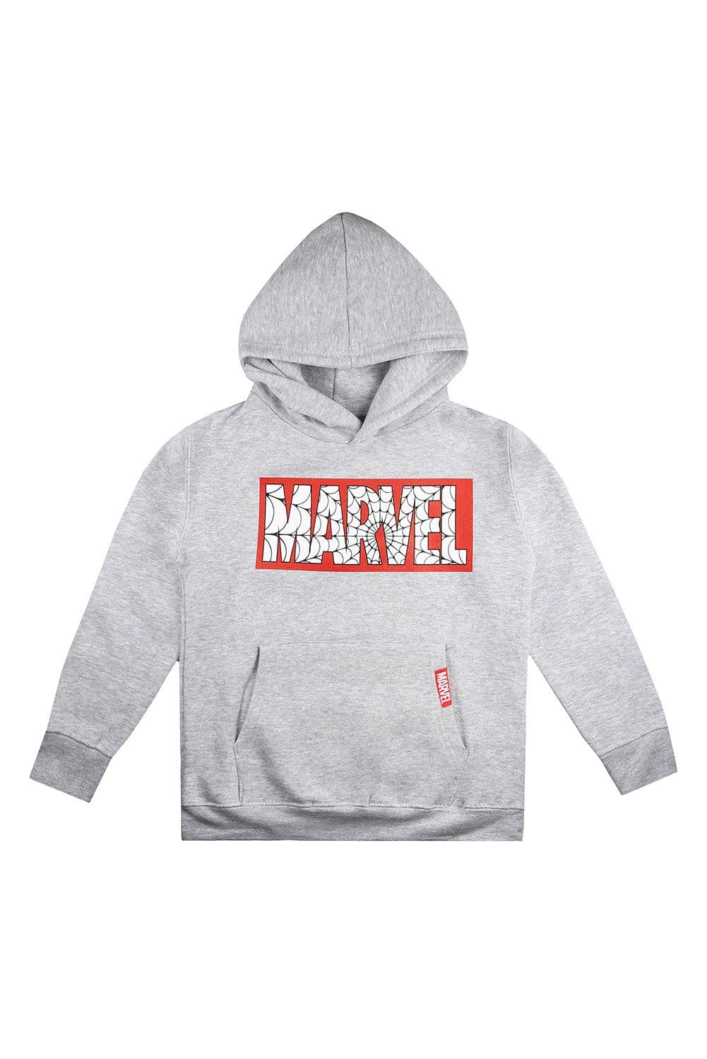 Web Pullover Hoodie