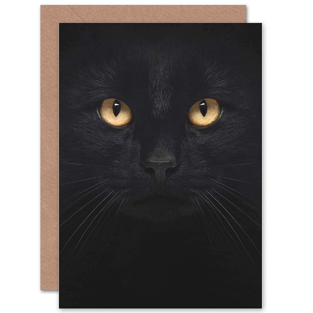 Black Cat Close Up Photo Greetings Card
