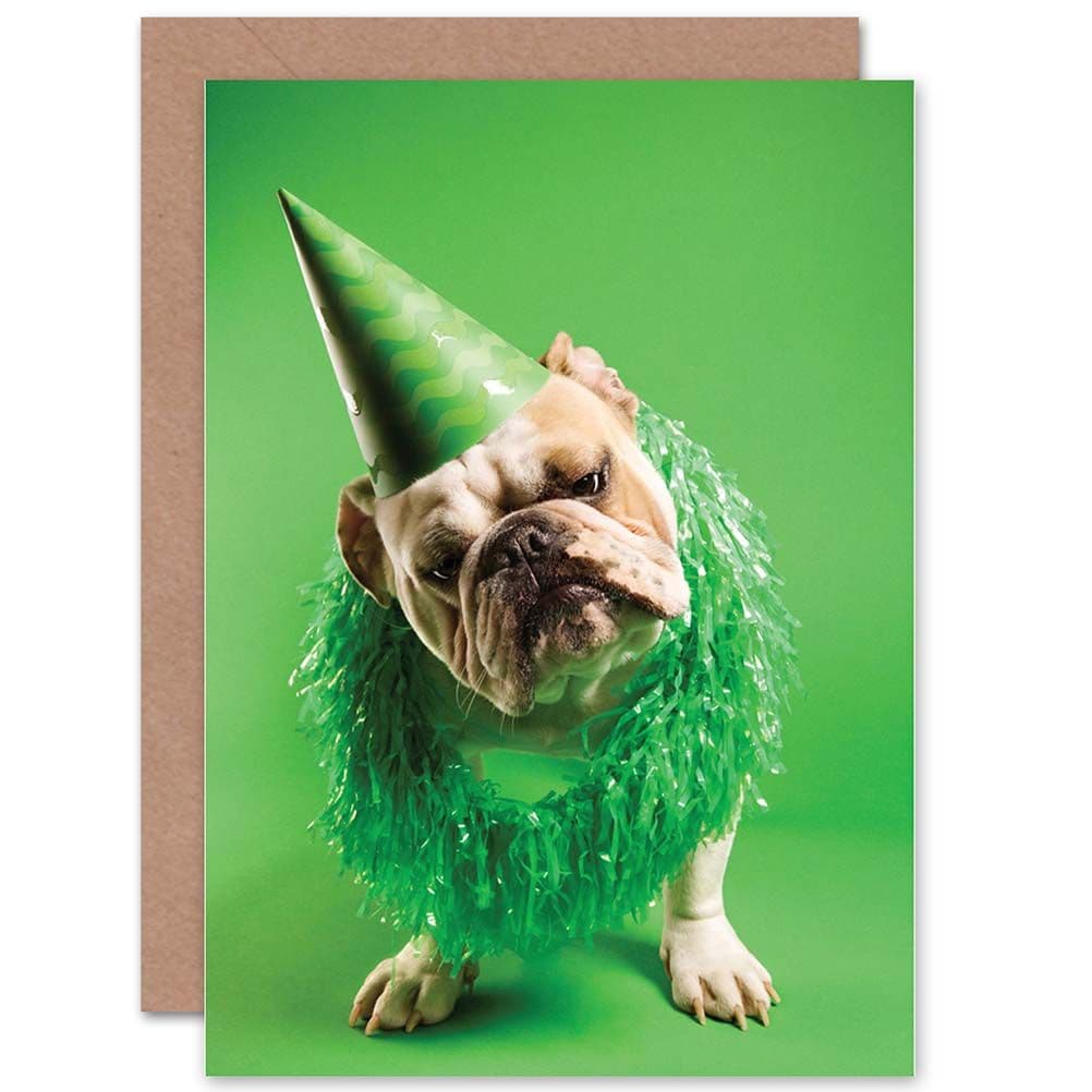 Bulldog Party Hat Green Celebrate Birthday Greetings Card