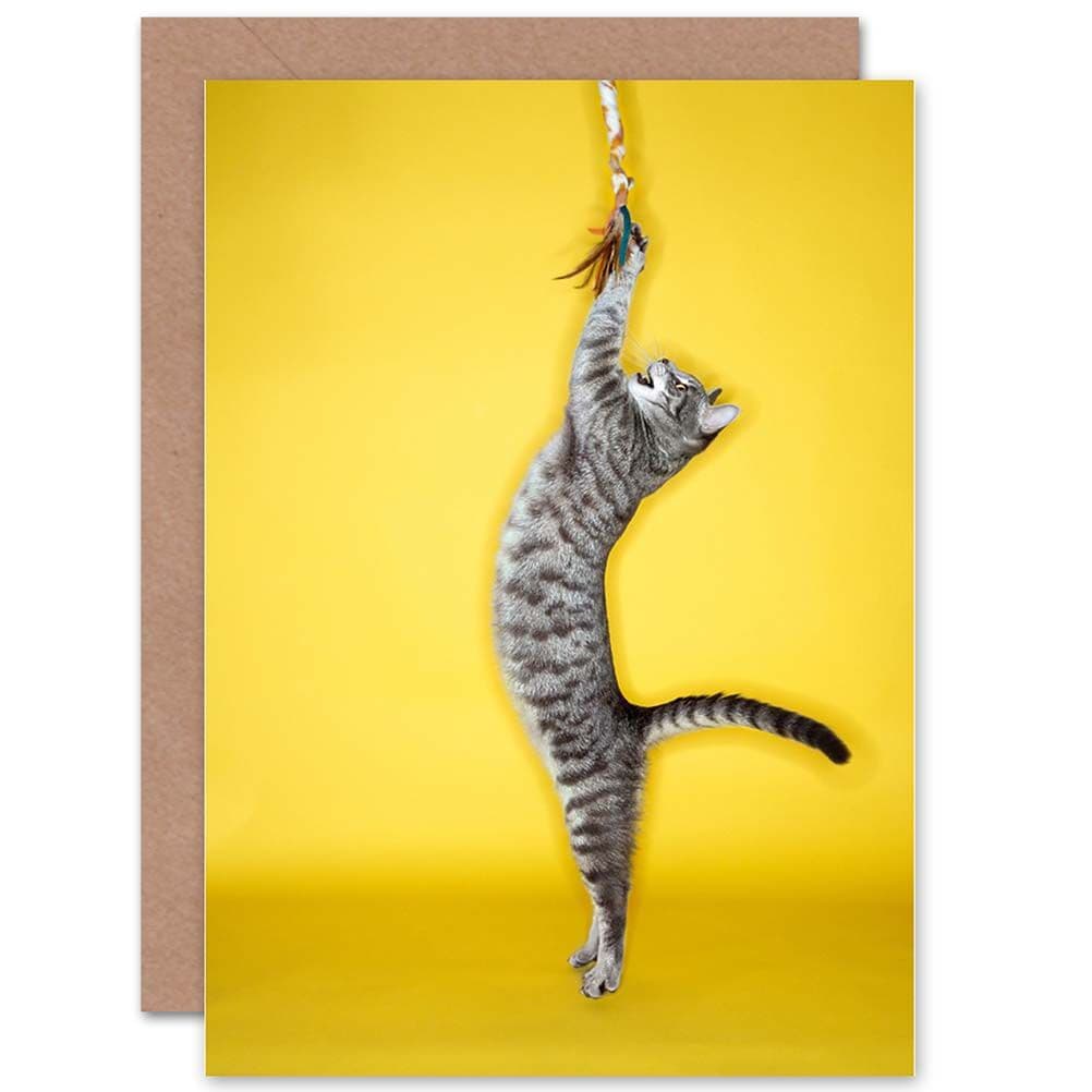 Cat Playing With Toy Yellow Birthday Greetings Card