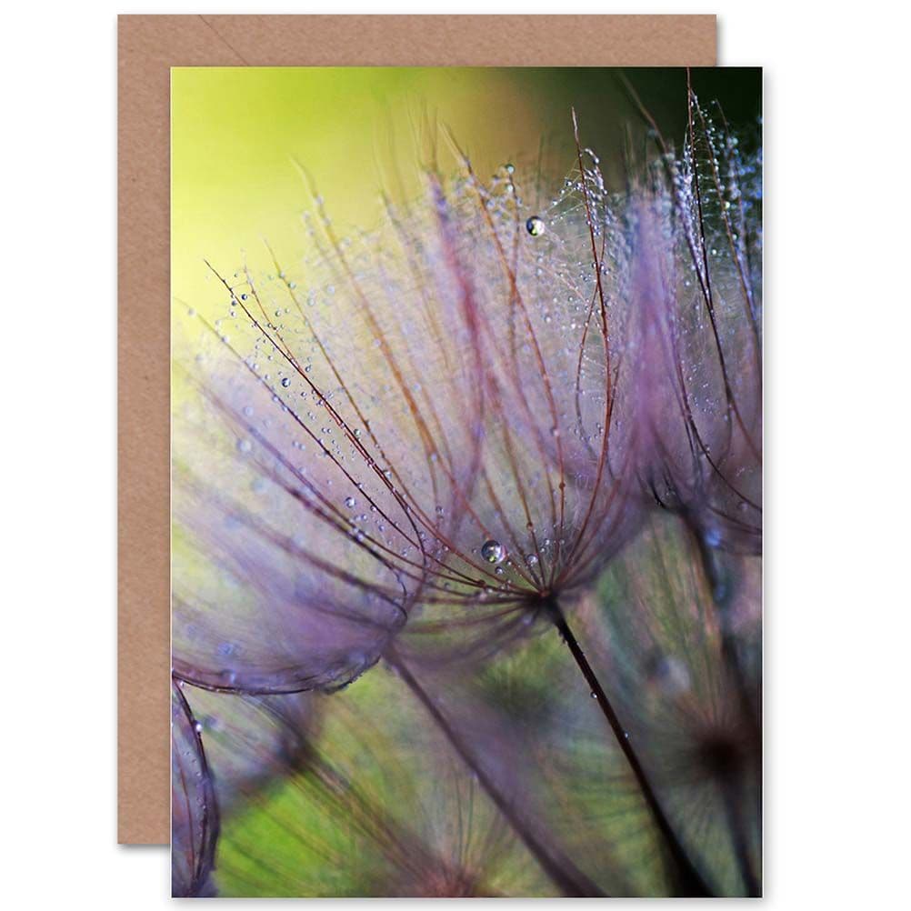 Close Up Macro Seeds Flower Dew Greetings Card