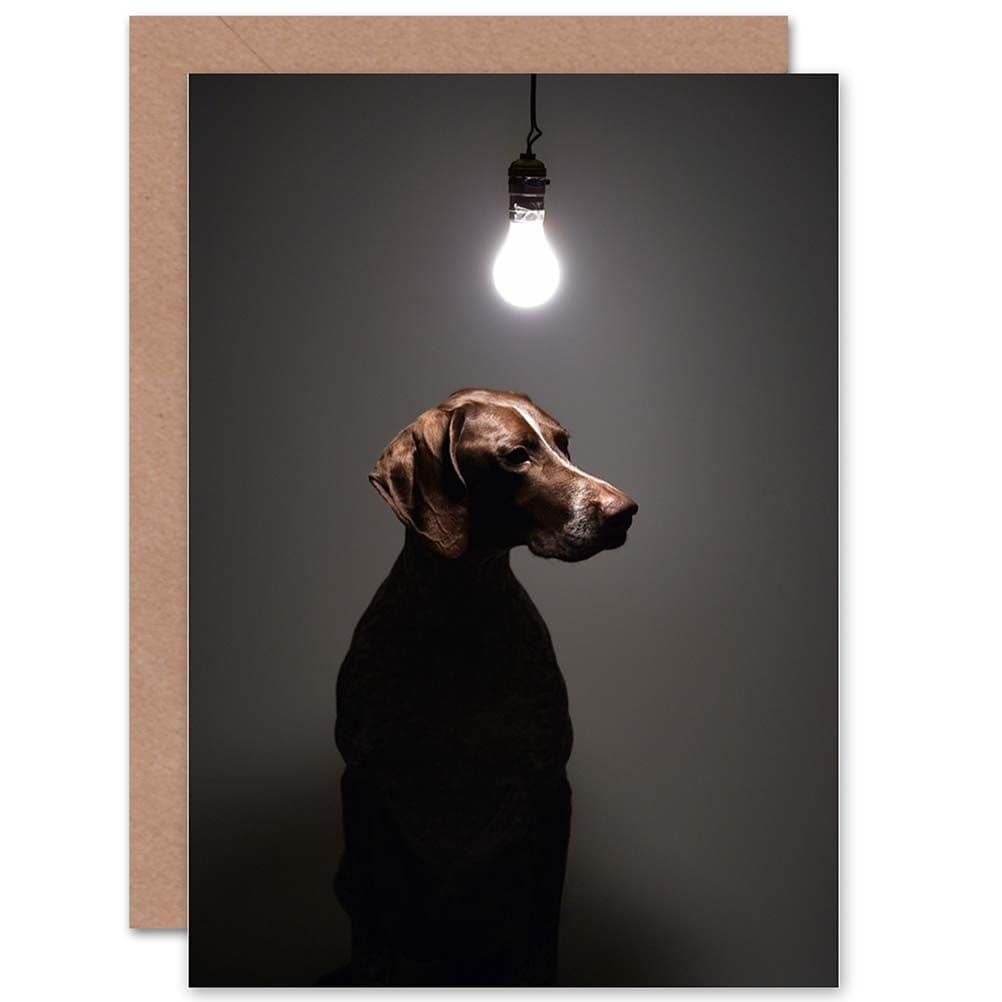 Dog Light Bulb Animal Greetings Card