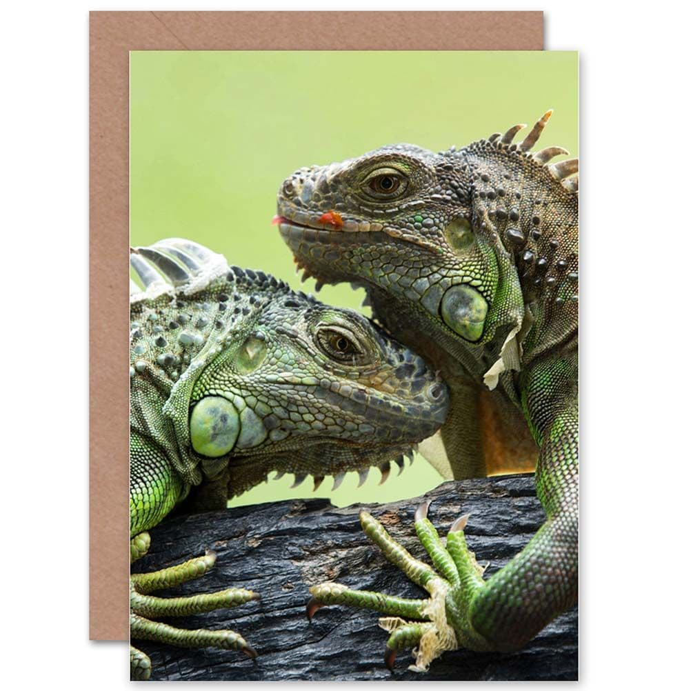 Iguana Lizard Reptile Animal Closeup Greetings Card