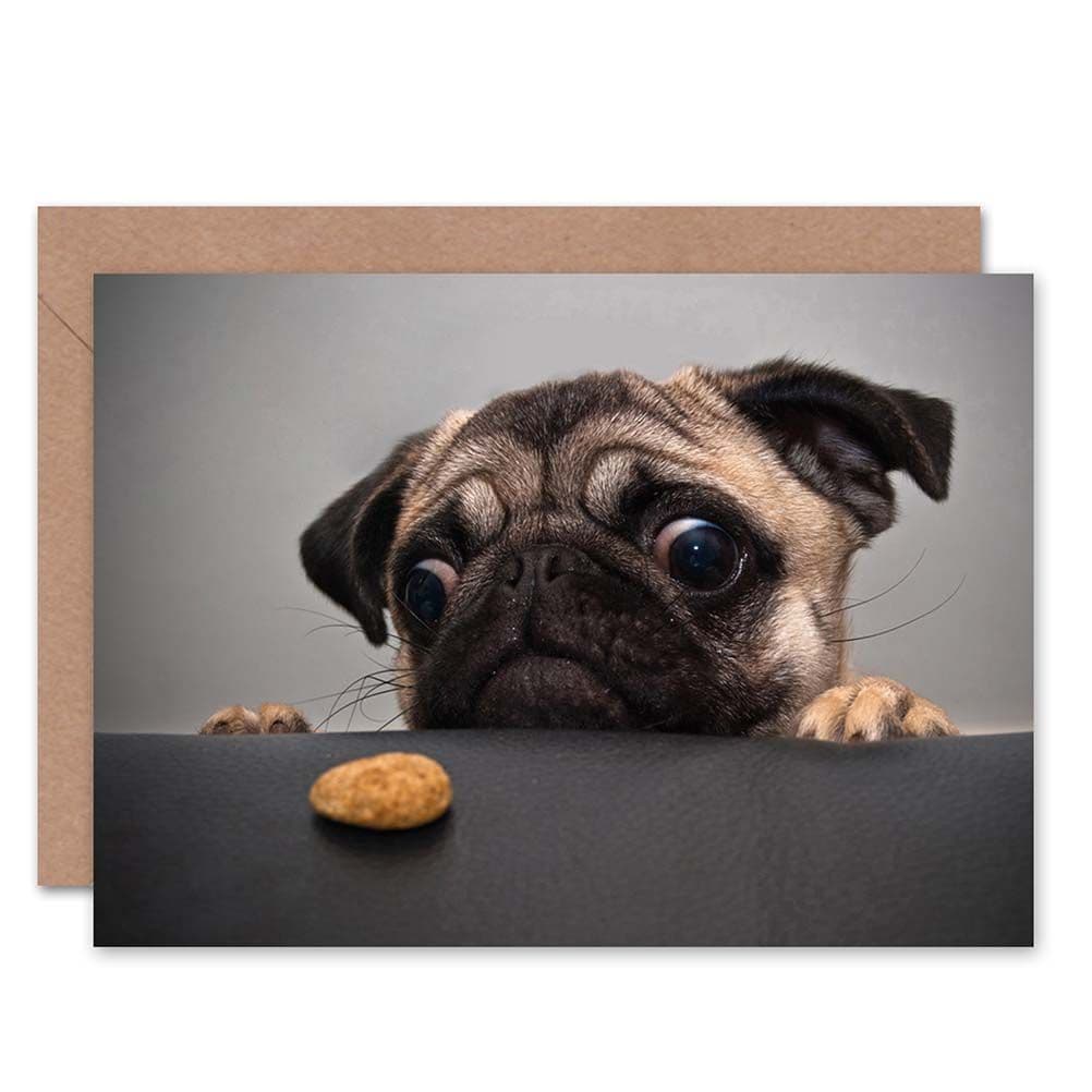 Animal Portrait Pug Dog Treat Food Eyes Cute Greeting Card