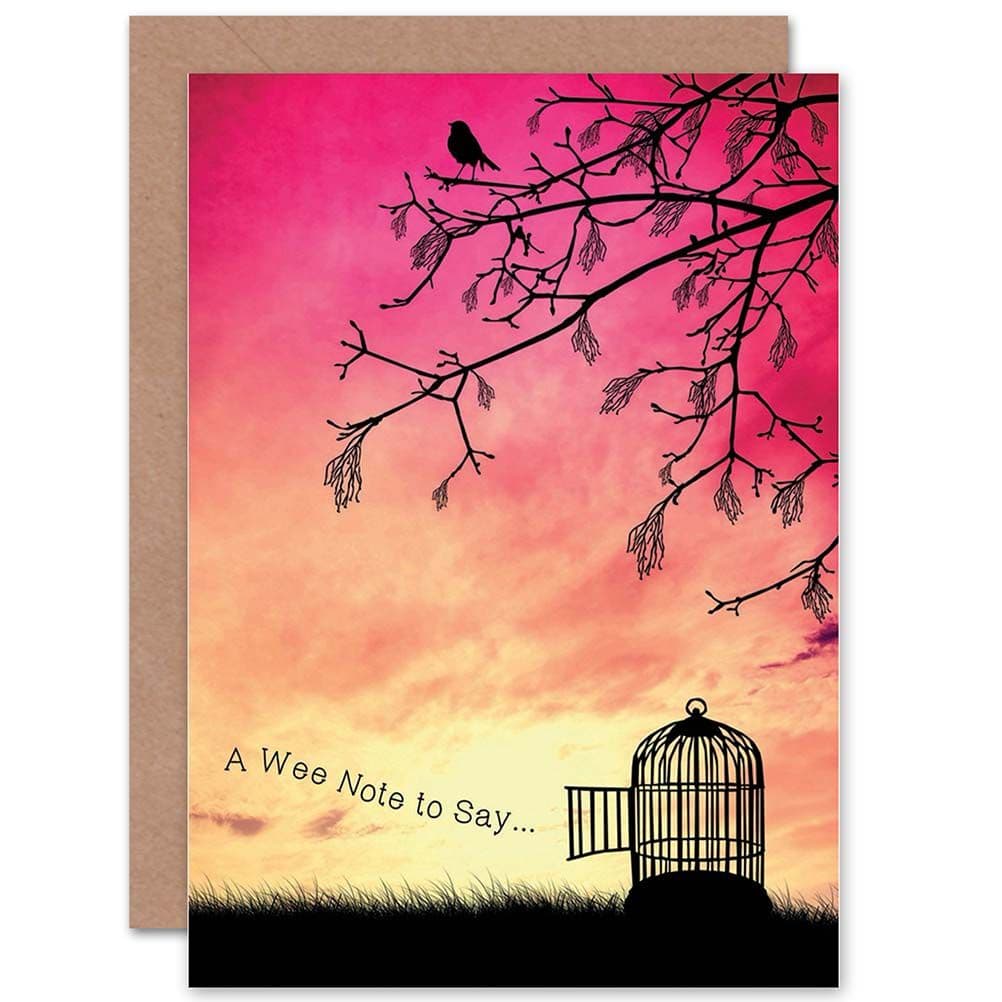 Wee Note To Say Bird Cage Sunset Freedom Silhouette Greetings Card