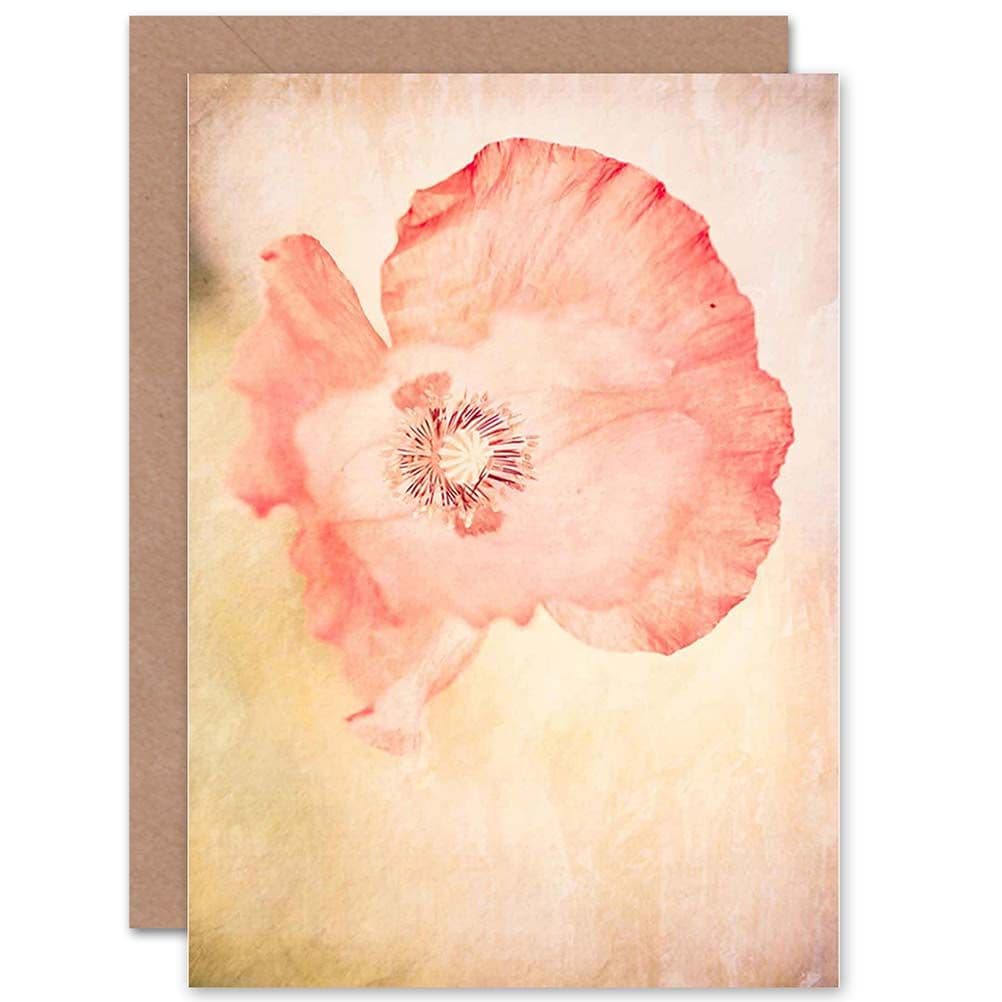 Composition Flower Poppy Petal Nature Plant Greetings Card