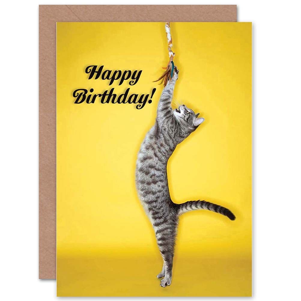 Happy Birthday Cat Toy Play Greetings Card