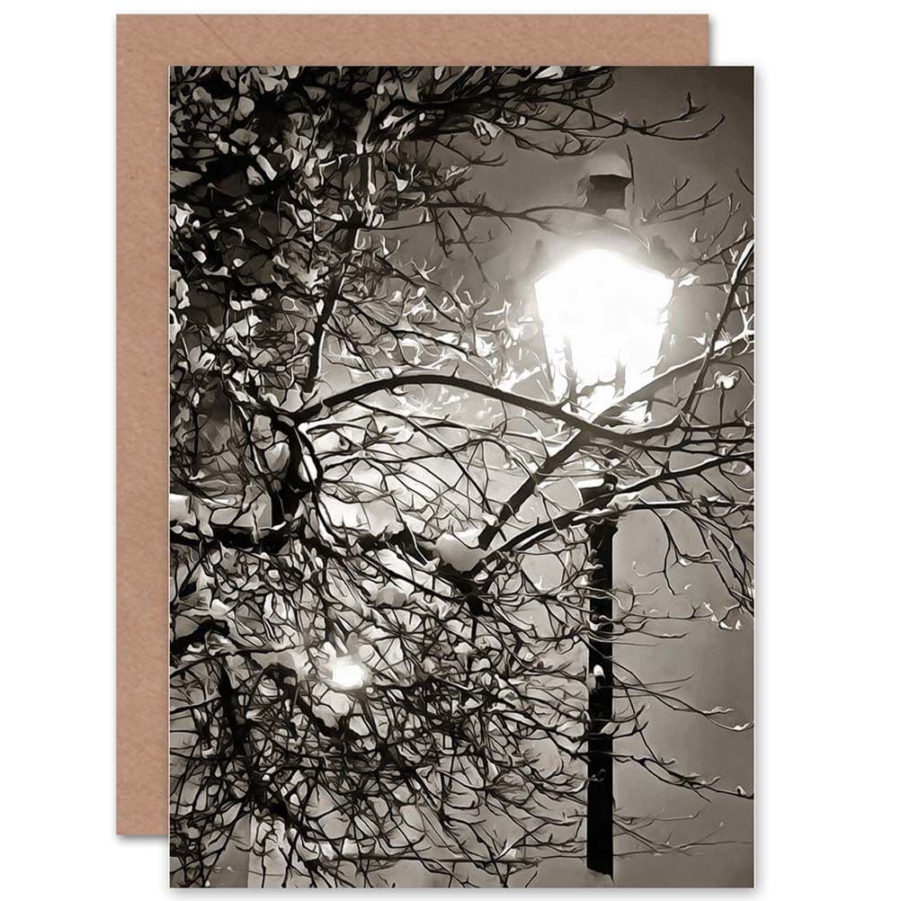 Lonely Street Lamp Winter Night White Photo Greetings Card