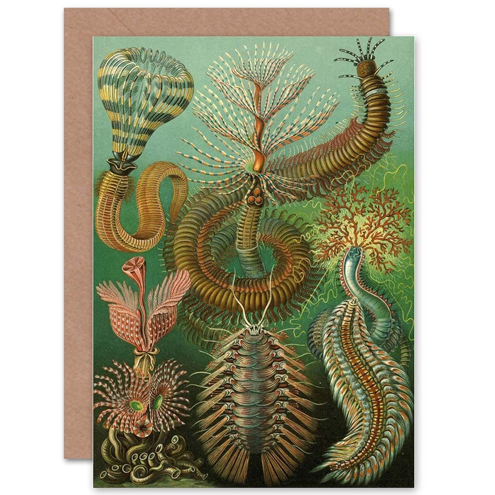 Nature Biology Ernst Haeckel Germany Birthday Greetings Card