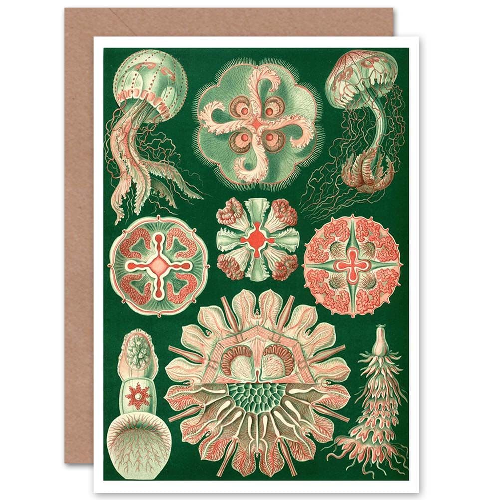 Nature Ernst Haeckel Biology Sea Creature Germany Greetings Card
