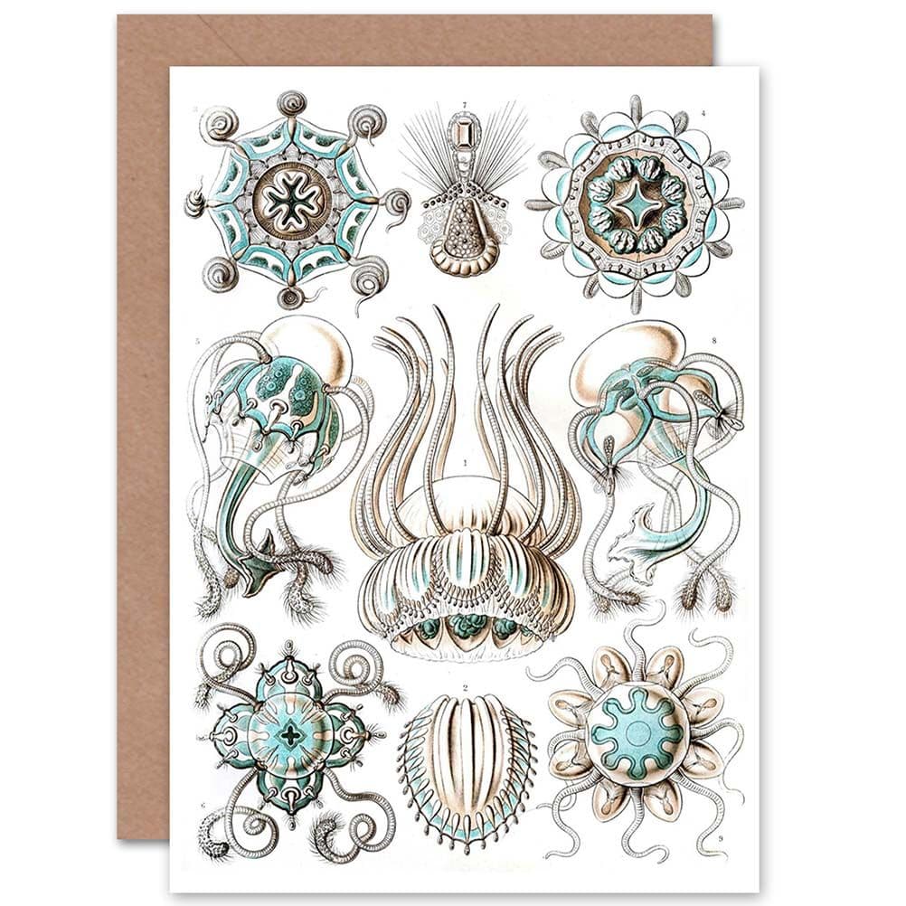 Nature Ernst Haeckel Jellyfish Biology Germany Birthday Greetings Card
