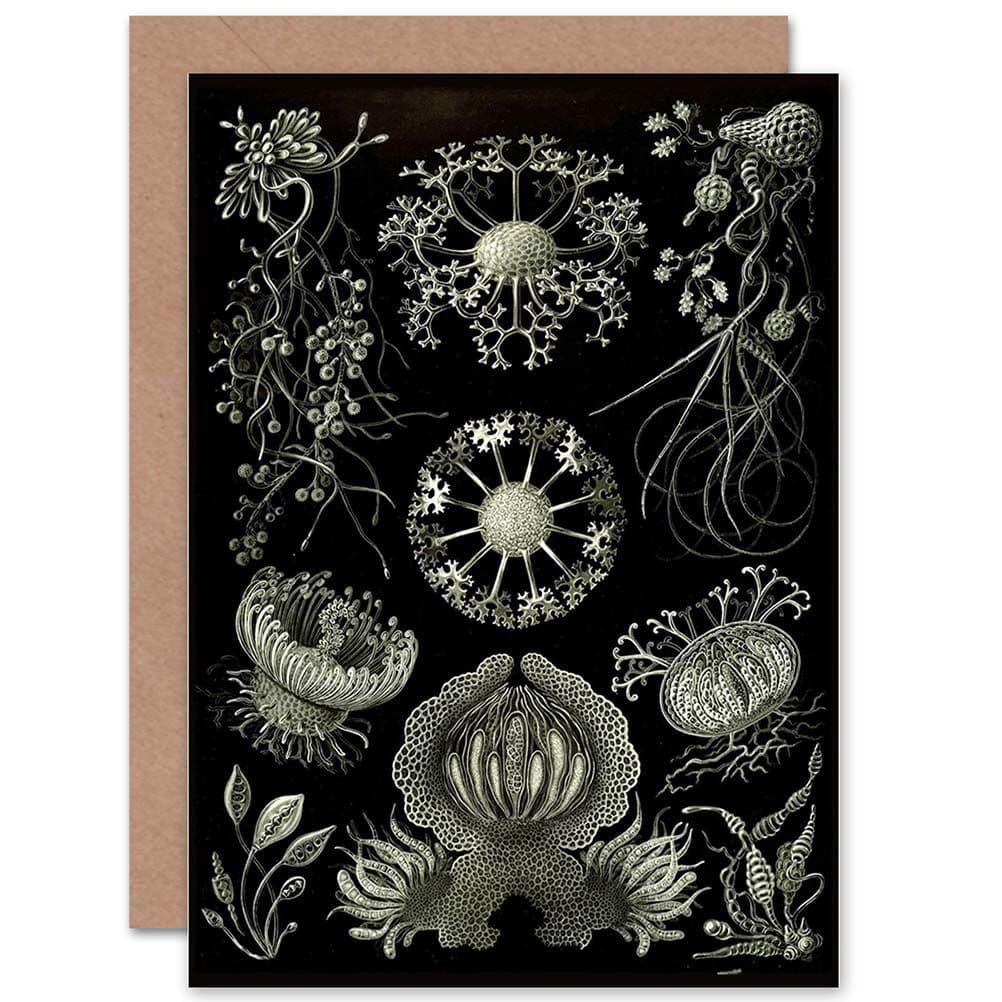 Nature Ernst Haeckel Plankton Sea Biology Germany Greetings Card