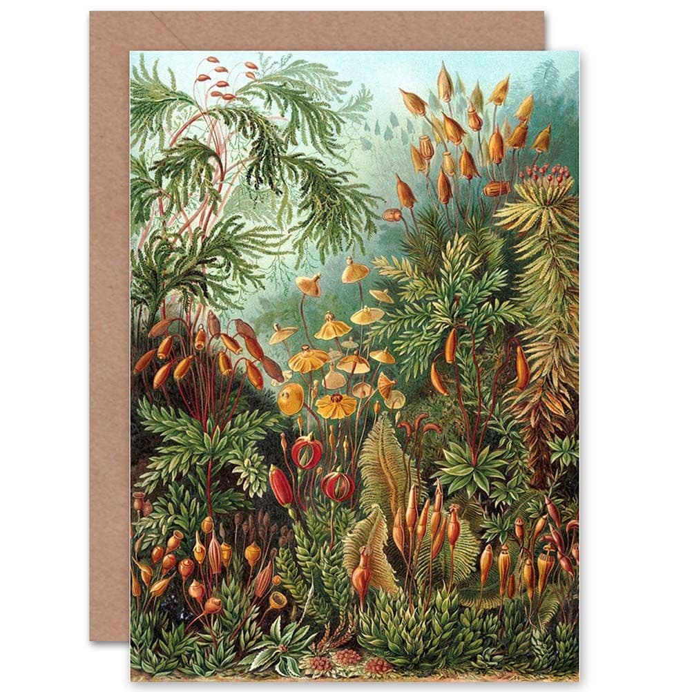 Nature Ernst Haeckel Sea Plant Biology Germany Birthday Greetings Card