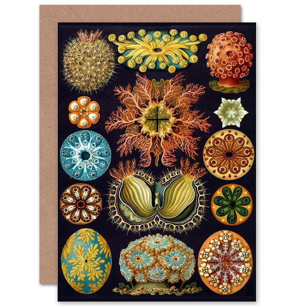 Nature Haeckel Ernst Plankton Sea Biology Germany Greetings Card