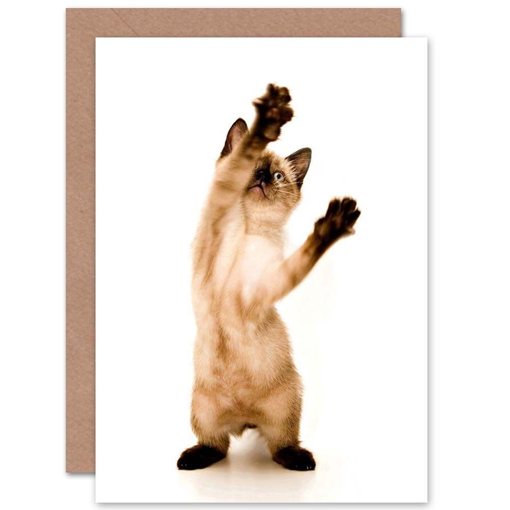 Siamese Kitten Cat Playing Birthday Greetings Card