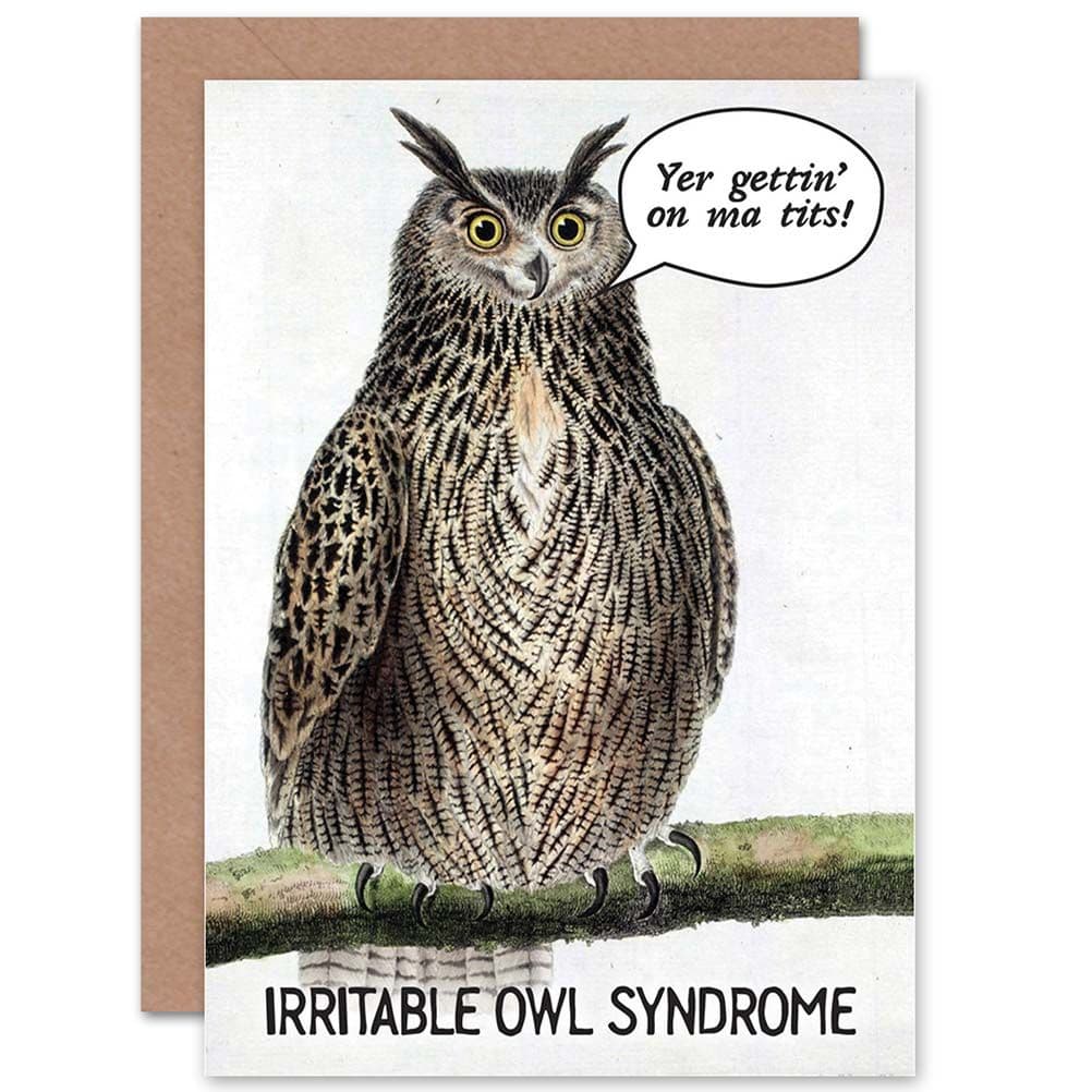 Funny Owl Fun Bird Cheeky Greetings Card