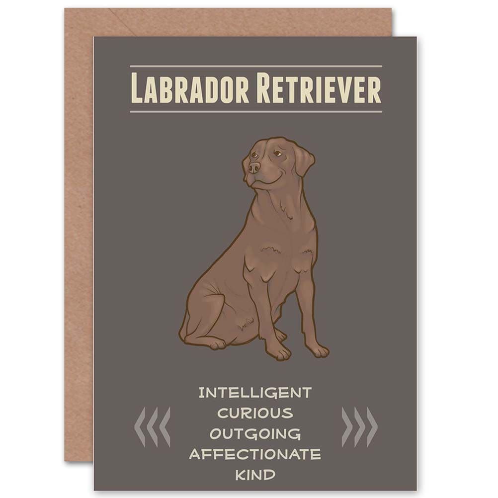Dog Labrador Chocolate Greetings Card