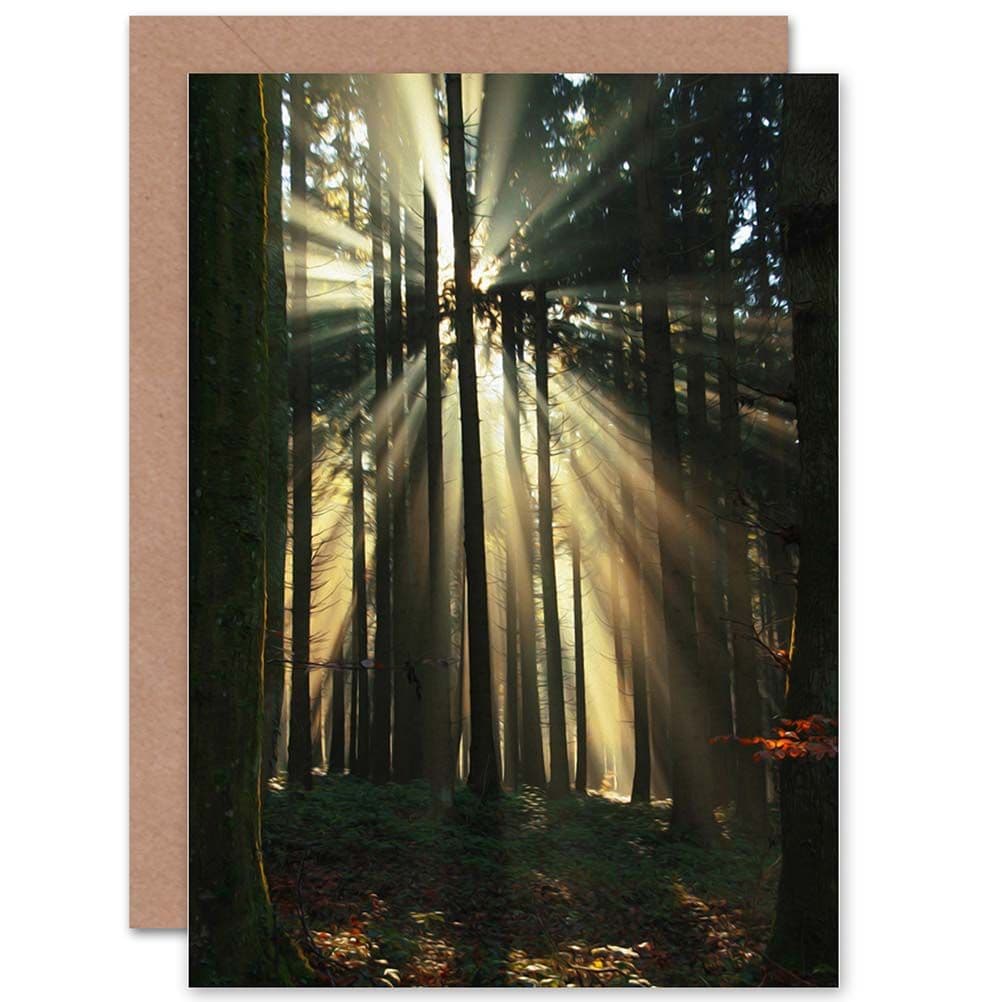 Birthday Painting Sunbeam Forest Scene Greetings Card