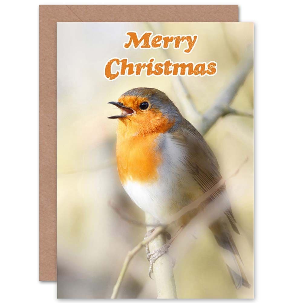 Christmas Xmas Robin Breast Greetings Card
