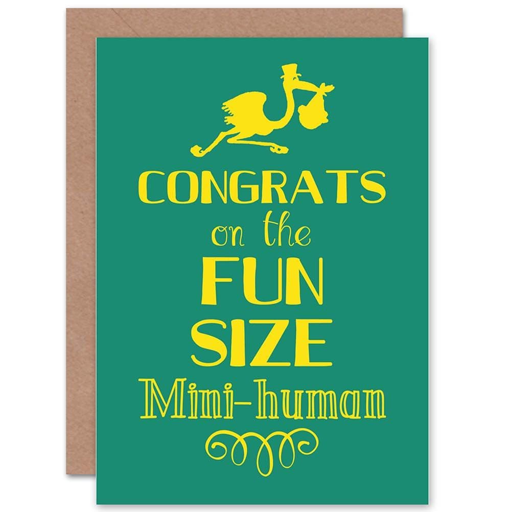 Birth Fun Stork Mini Human Greetings Card