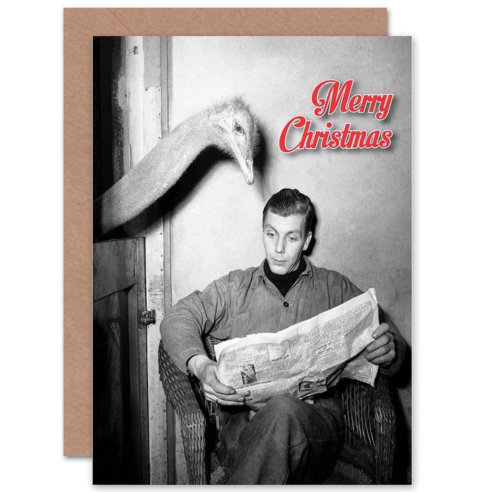 Alternative Christmas Xmas Ostrich Reading News Funny Greetings Card