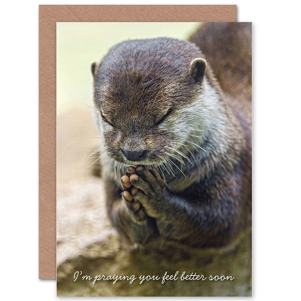 Get Well Soon Good Health Praying Otter Greetings Card