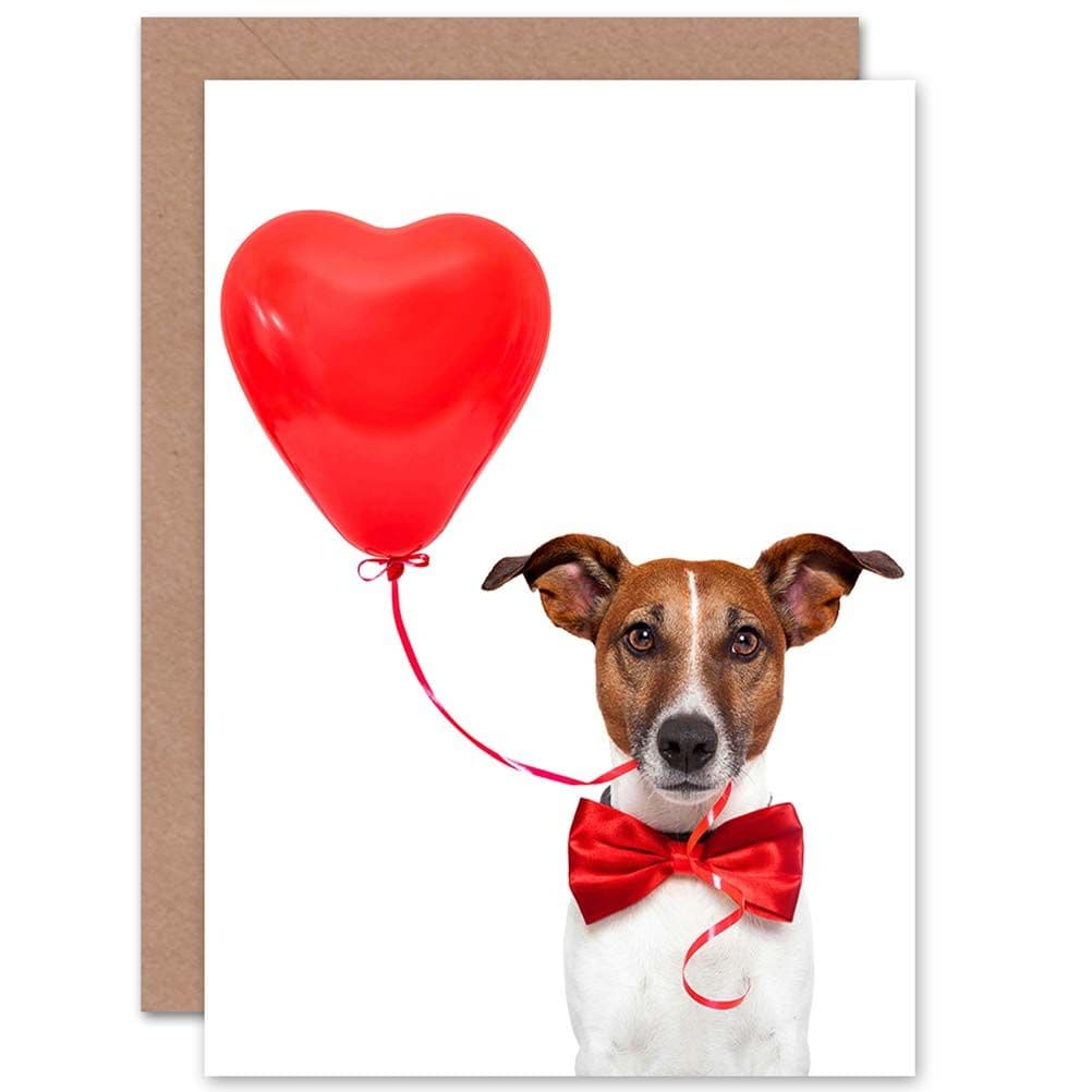 Cute Jack Russell Dog Love Balloon Greetings Card