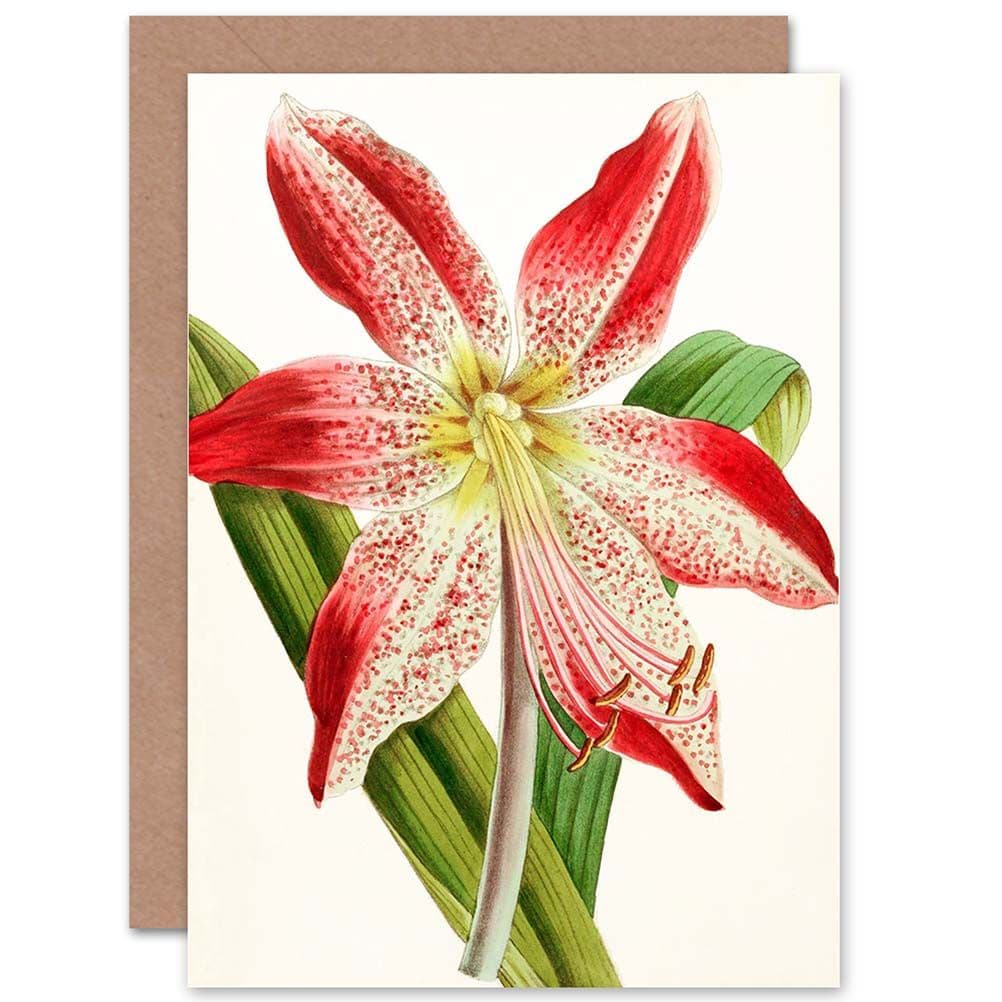 Garden Flowers Andrews Hippeastrum Pardinum Greetings Card
