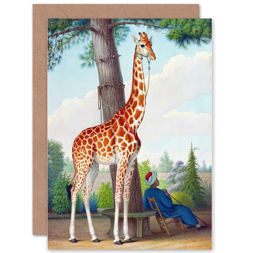 Painting Exterior Study Animal Huet Giraffe Greetings Card