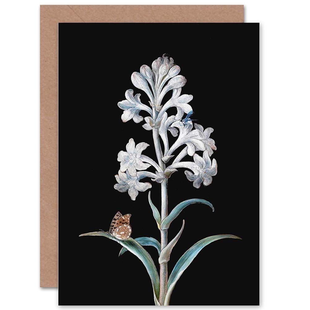 Painting Nature Study Dietzsch Hyacinth Insects Greetings Card