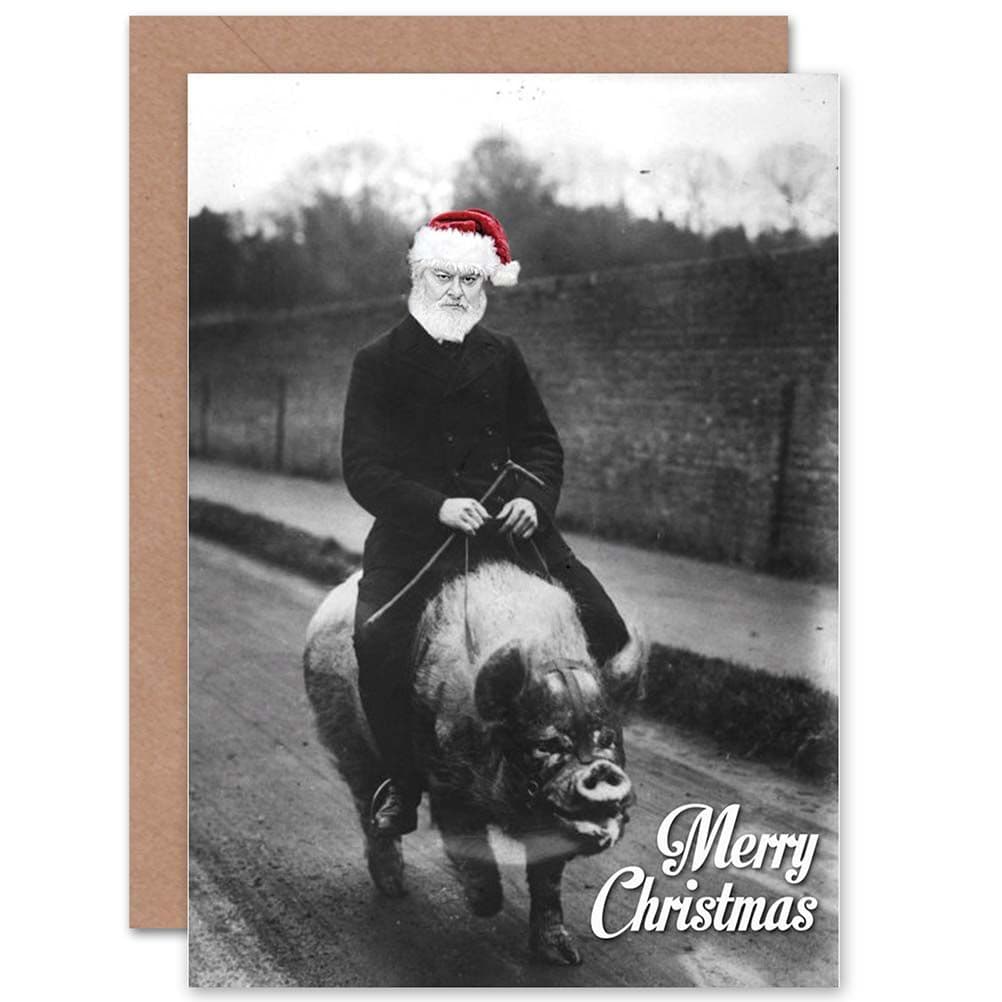 Christmas Xmas Merry Bizarre Santa Pig Funny Greetings Card