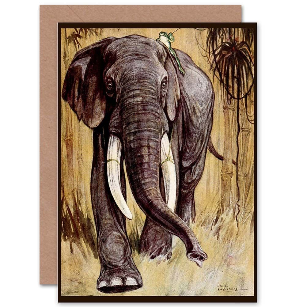 Bransom Cooper Fables Angola Elephant Frog Present Greetings Card