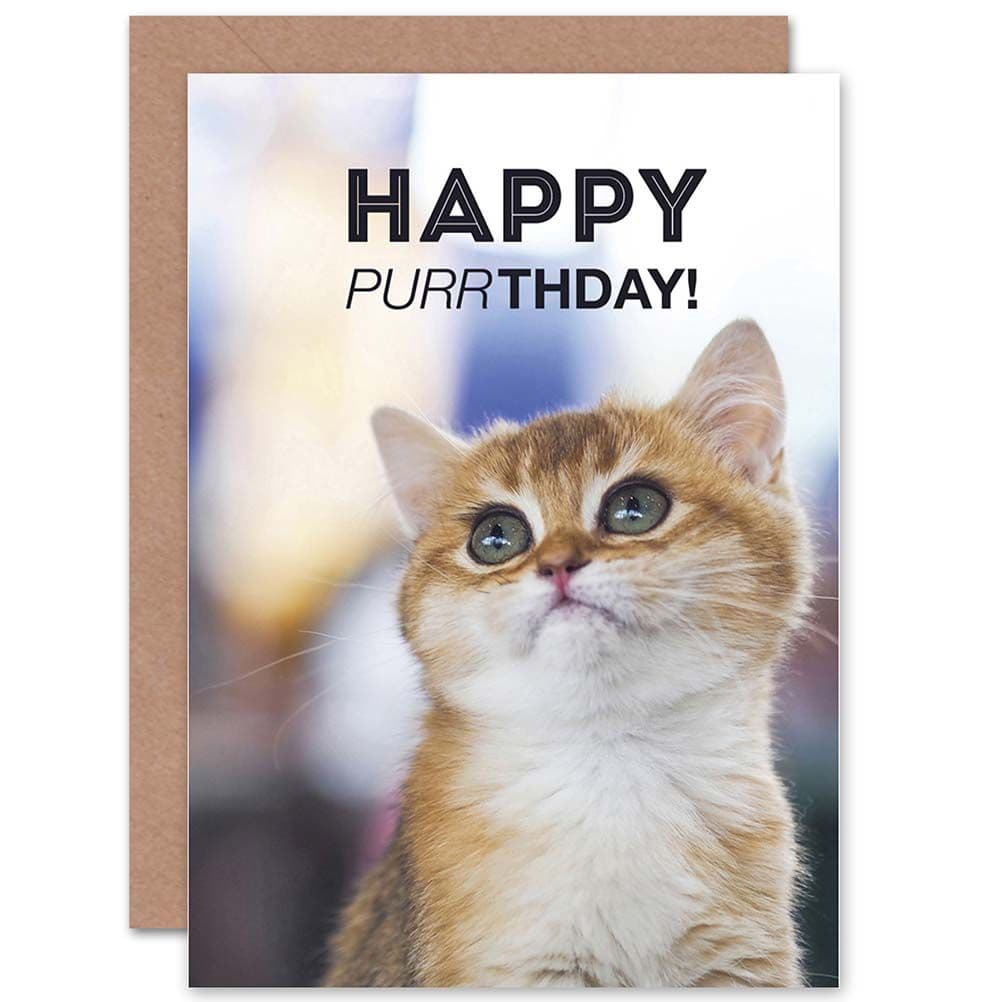 Birthday Happy Cat Kitten Kitty Purr Design Greetings Card