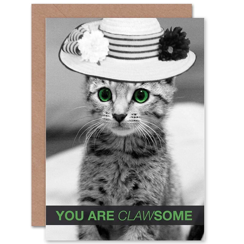 Friendship Cute Cat Hat Claw Awesome Greetings Card