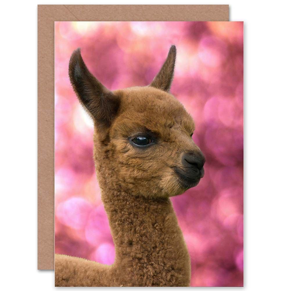 Birthday Animal Alpaca Llama Cute Greetings Card
