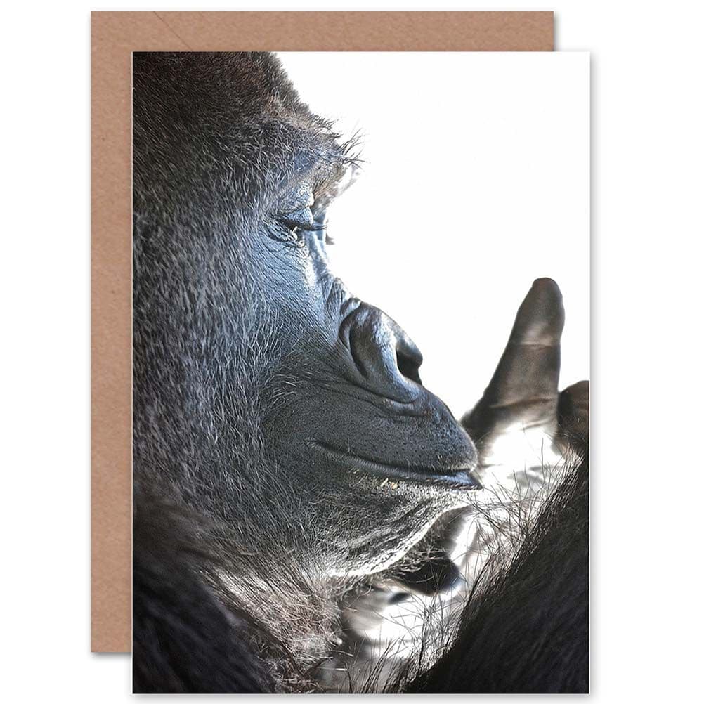 Birthday Animal Photo Ape Gorilla Close Up Head Greetings Card