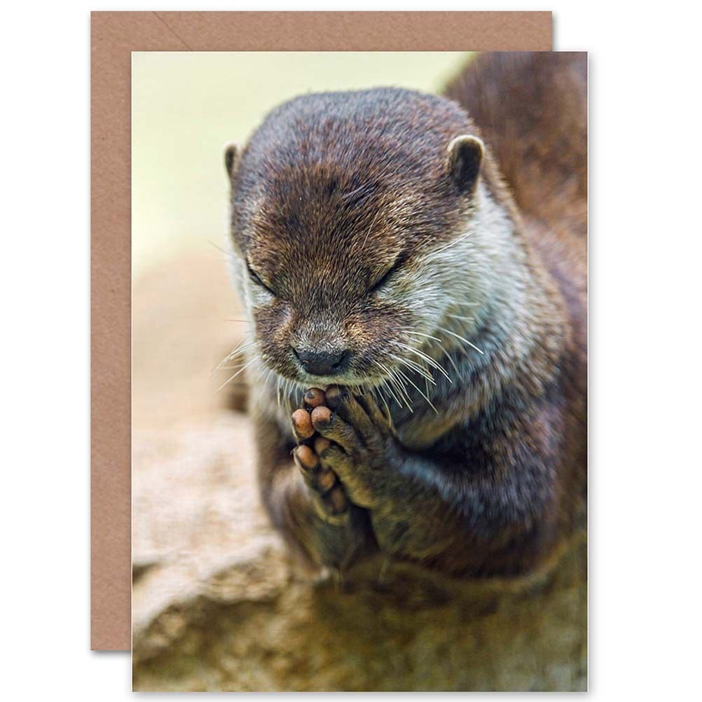 Birthday Animal Cute Otter Praying Greetings Card