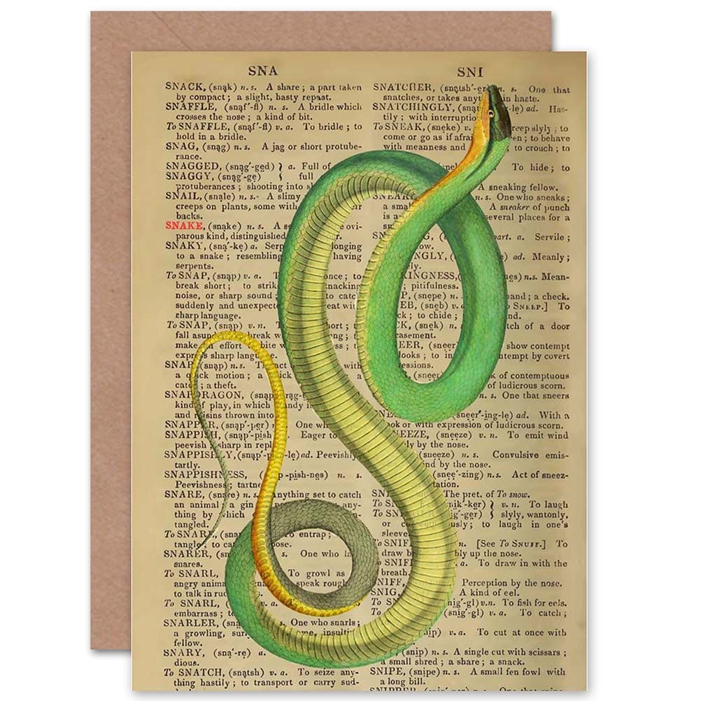 Birthday Upcycle Dictionary Green Snake Reptile Greetings Card