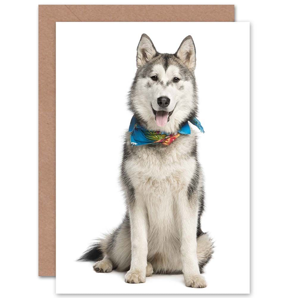 Animal Dog Husky Necktie Cute Greetings Card