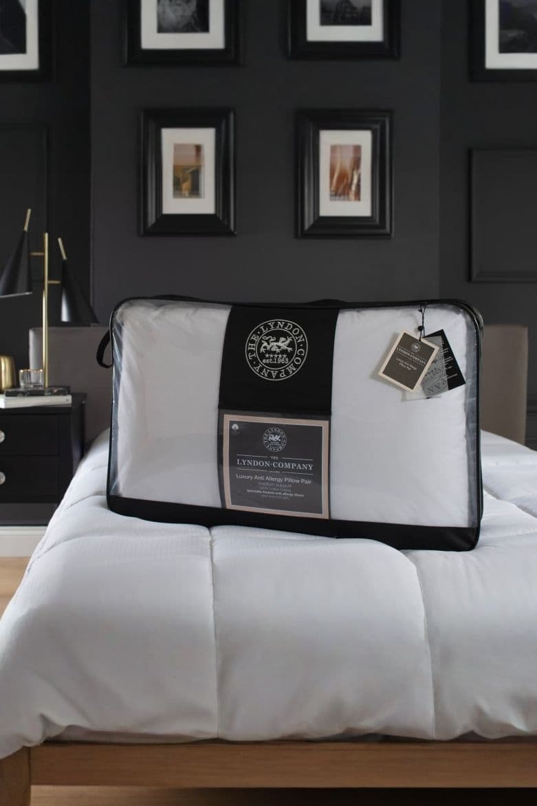 Anti Allergy Pillow Pair