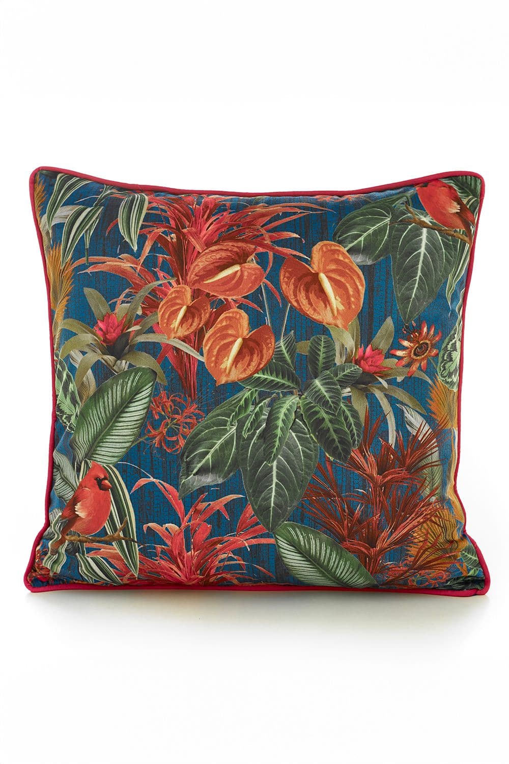 Mauritius 50x50cm Soft Velvet Pipe Trimmed Filled Cushion