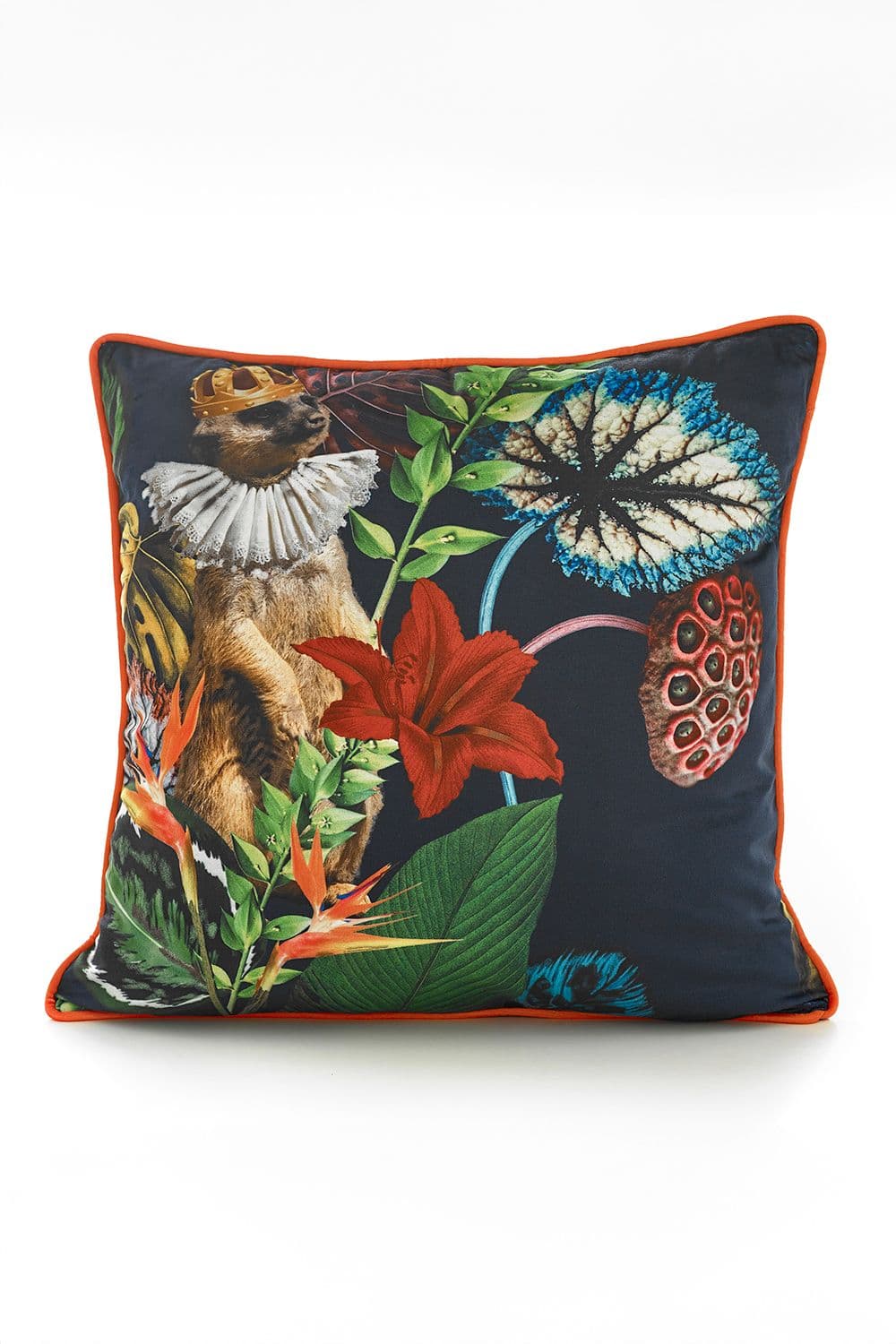 Meerkat 50x50cm Soft Velvet Pipe Trimmed Filled Cushion