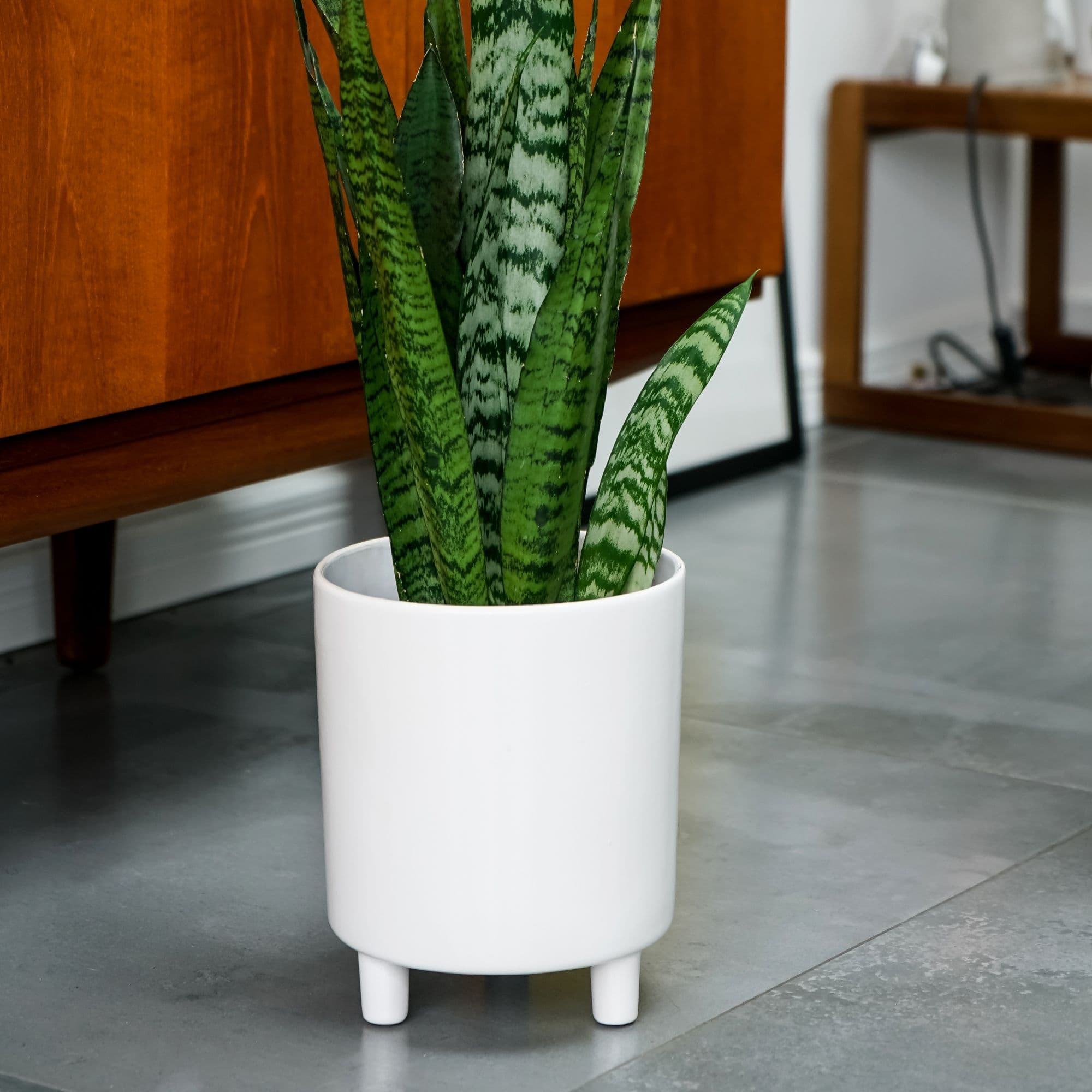 Pisa Planter H24cm x D20cm