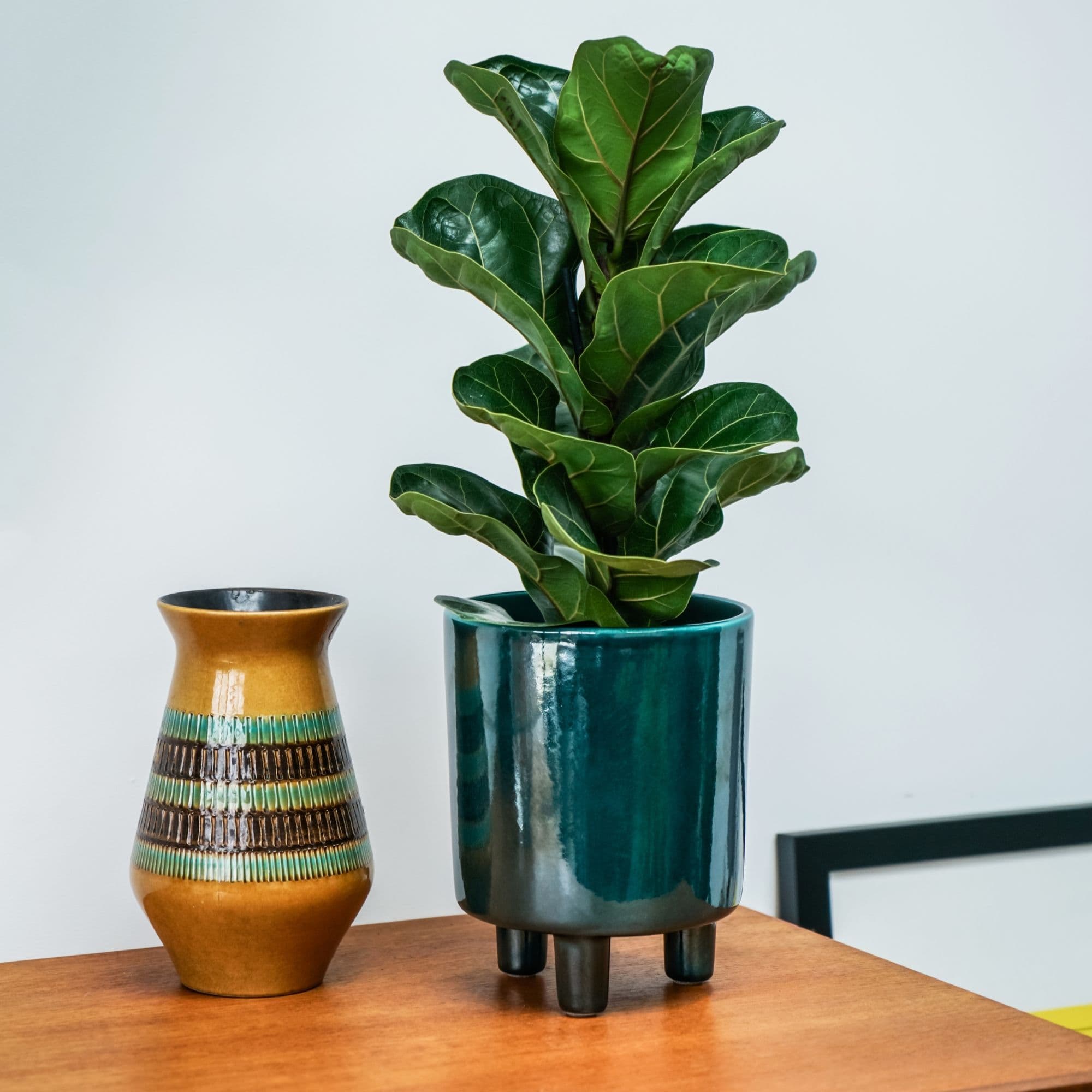 Pisa Planter H24cm x D20cm